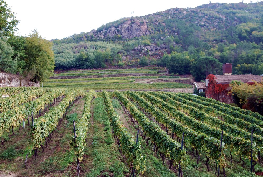 coto-de-gomariz-09-01