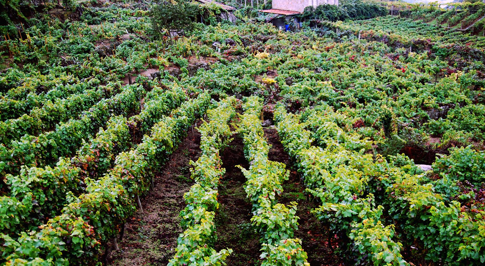 rw-rias-baixas-09-03