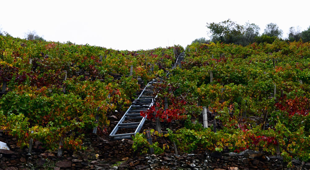 rw-ribera-sacra-14-03