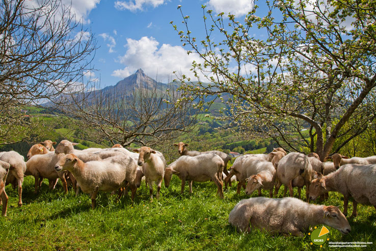 idiazabal-txindoki-01e